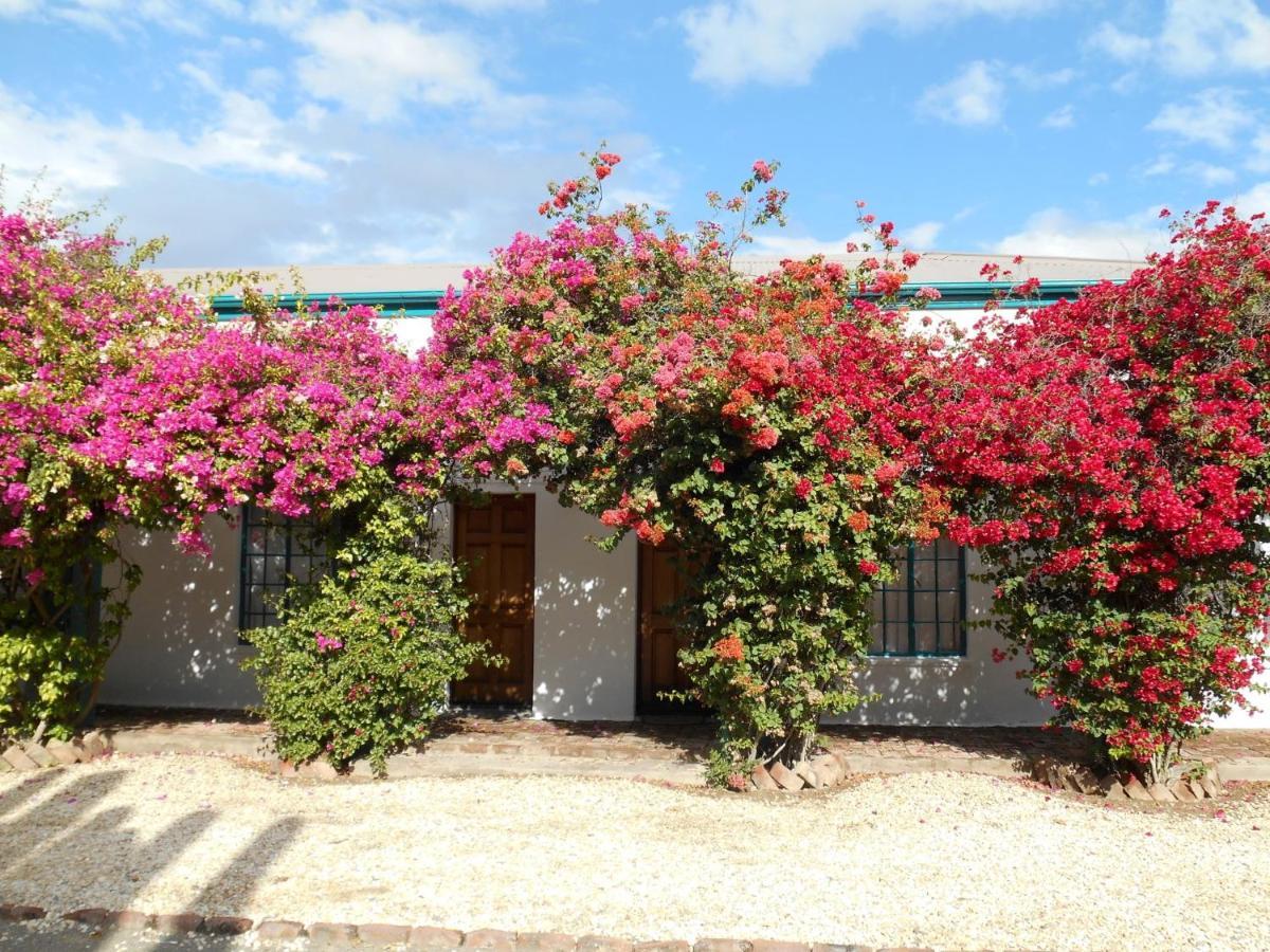 Obesa Lodge Graaff-Reinet Exteriér fotografie